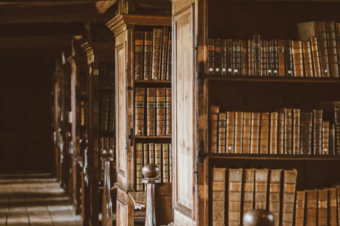 The tall shelves of an old library receding into shadow