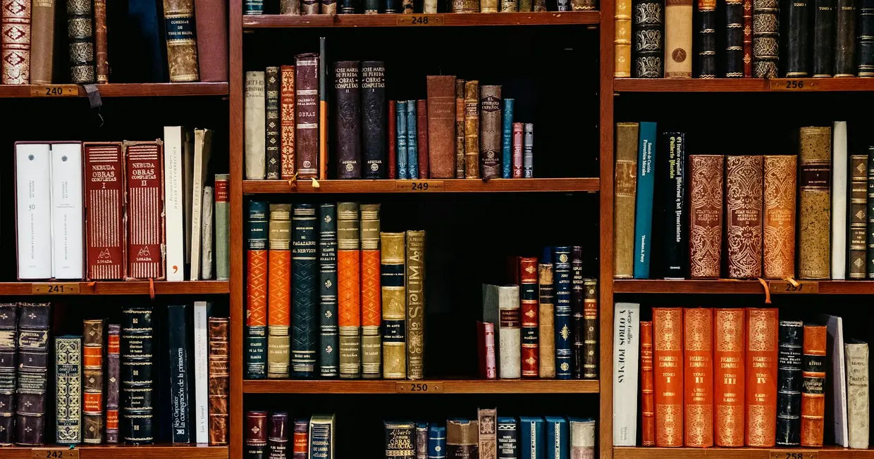 Shelves of bound legal volumes in a wood-panelled library