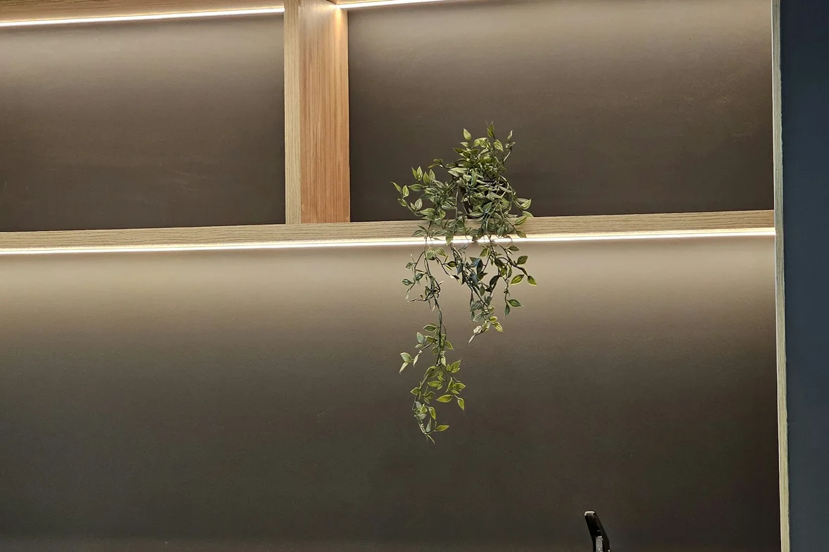A modern reception counter with illuminated shelving and a hanging plant above it
