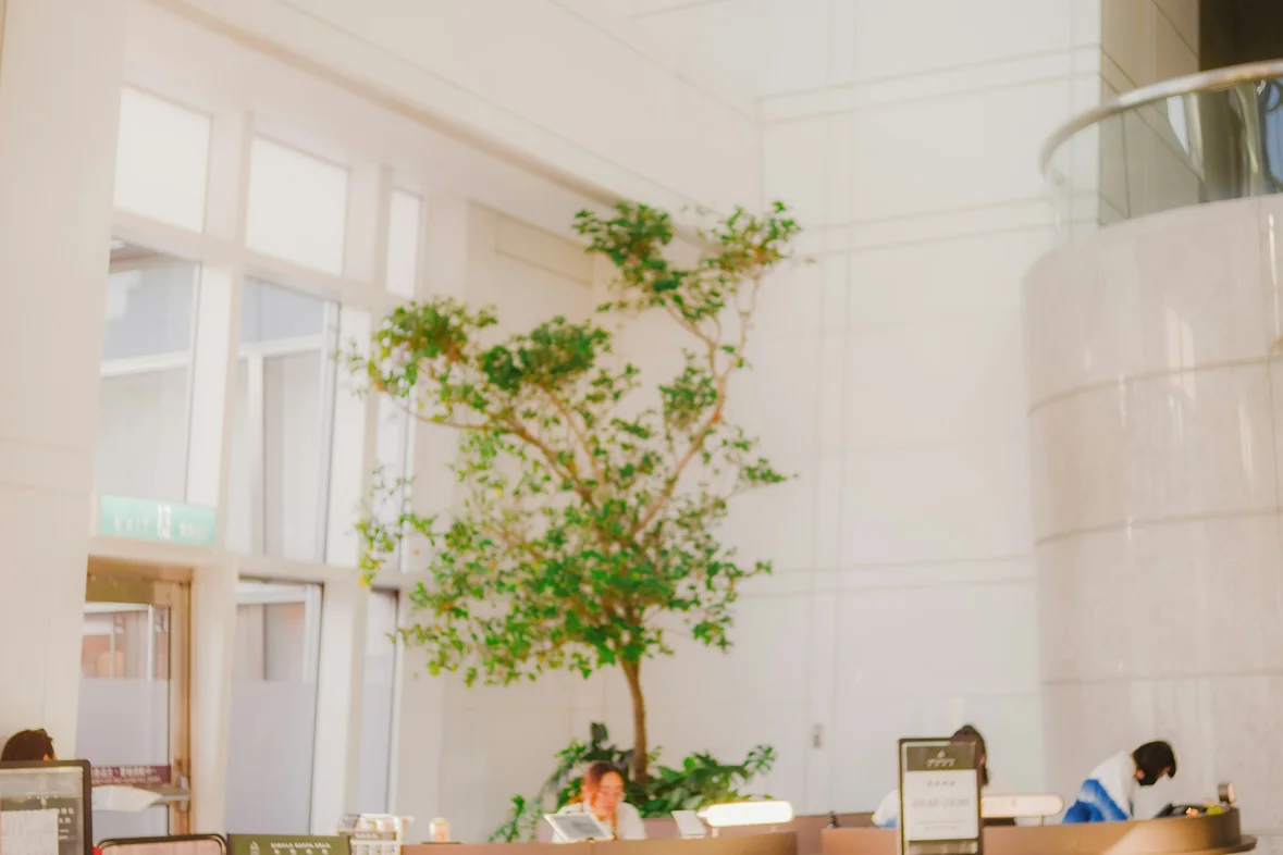 A bright modern office reception area with a tree and people moving through it